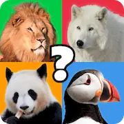 Скачать Animal Quiz Guess their Answer [МОД/Взлом Бесконечные деньги] на Андроид