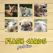 Скачать Flash Cards [МОД/Взлом Бесконечные монеты] на Андроид