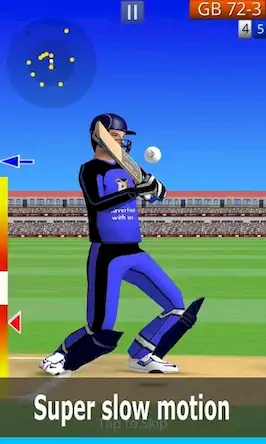 Скачать Smashing Cricket: cricket game [МОД/Взлом Бесконечные деньги] на Андроид