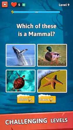 Скачать Animal Quiz Guess their Answer [МОД/Взлом Бесконечные деньги] на Андроид