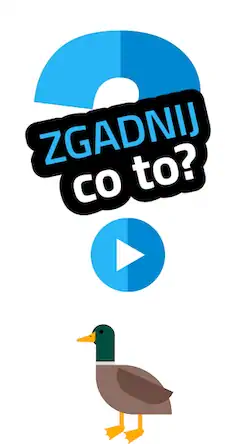 Скачать Zgadnij co to? gry łamigłówki [МОД/Взлом Бесконечные монеты] на Андроид