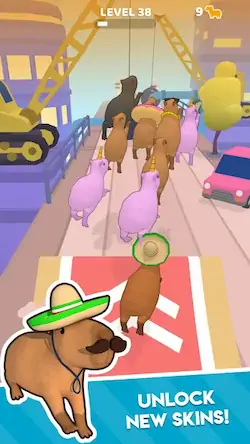 Скачать Capybara Rush [МОД/Взлом Бесконечные деньги] на Андроид