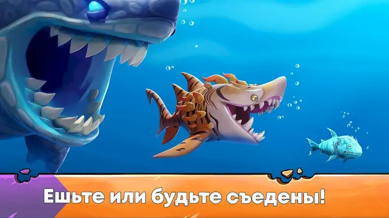 Скачать Hungry Shark Evolution: акула [МОД/Взлом Бесконечные деньги] на Андроид