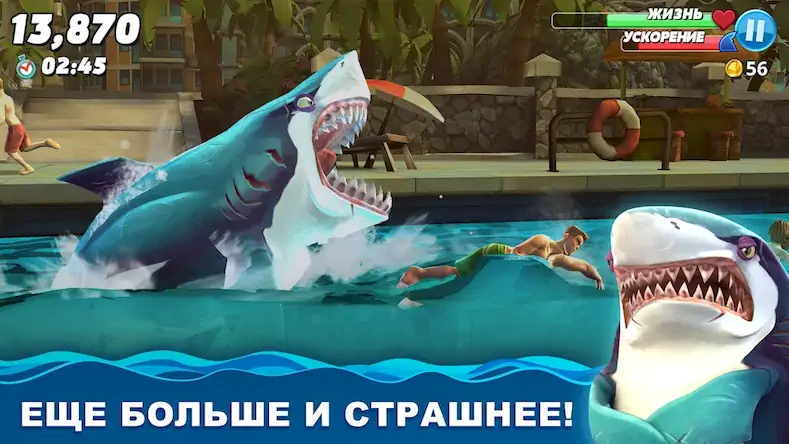 Скачать Hungry Shark World [МОД/Взлом Меню] на Андроид