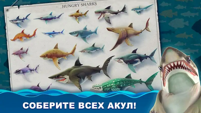 Скачать Hungry Shark World [МОД/Взлом Меню] на Андроид