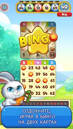 Скачать Bingo: Free the Pets [МОД/Взлом Меню] на Андроид