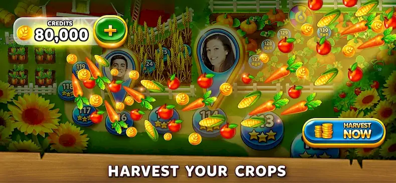 Скачать Solitaire Harvest - Tripeaks [МОД/Взлом Меню] на Андроид