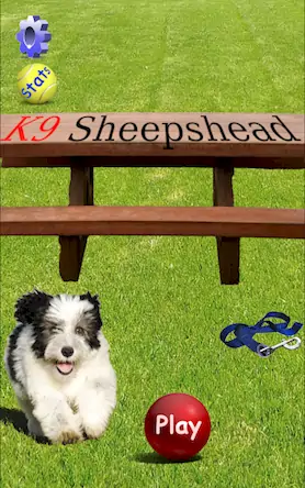 Скачать K9 Sheepshead (Schafkopf) [МОД/Взлом Много денег] на Андроид