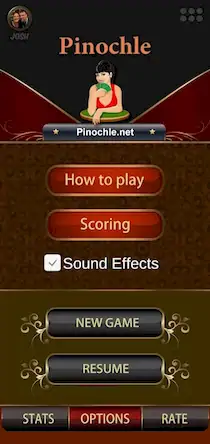 Скачать Pinochle.Net [МОД/Взлом Много денег] на Андроид