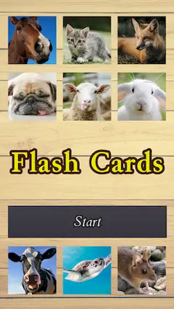 Скачать Flash Cards [МОД/Взлом Бесконечные монеты] на Андроид