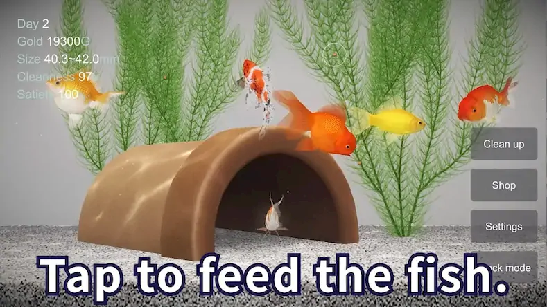 Скачать Goldfish 3D Relaxing Aquarium [МОД/Взлом Разблокированная версия] на Андроид