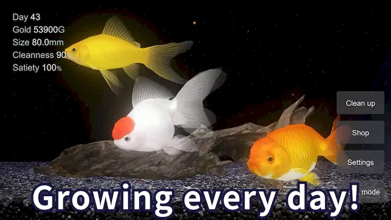 Скачать Goldfish 3D Relaxing Aquarium [МОД/Взлом Разблокированная версия] на Андроид