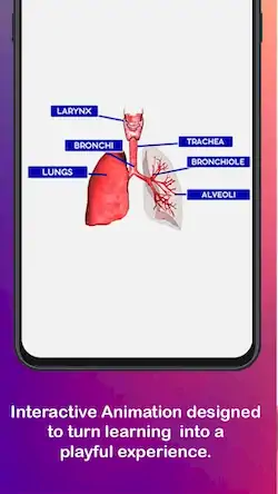 Скачать Anatomy AR 4D - Virtual TShirt [МОД/Взлом Unlocked] на Андроид