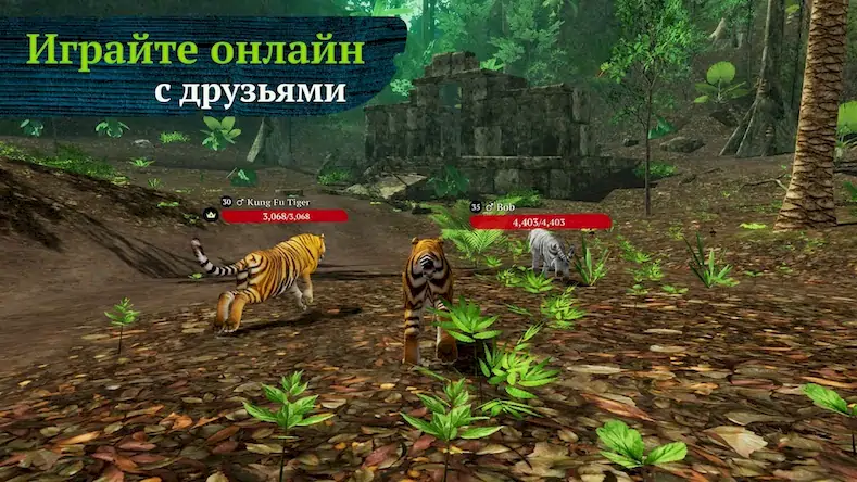 Скачать The Tiger [МОД/Взлом Меню] на Андроид