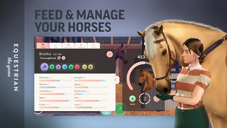 Скачать Equestrian the Game [МОД/Взлом Бесконечные деньги] на Андроид